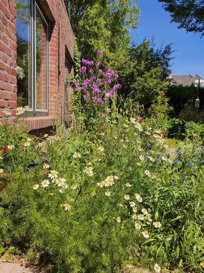 De Vliegende Vlinder Bed & Breakfast Nederweert Exterior photo