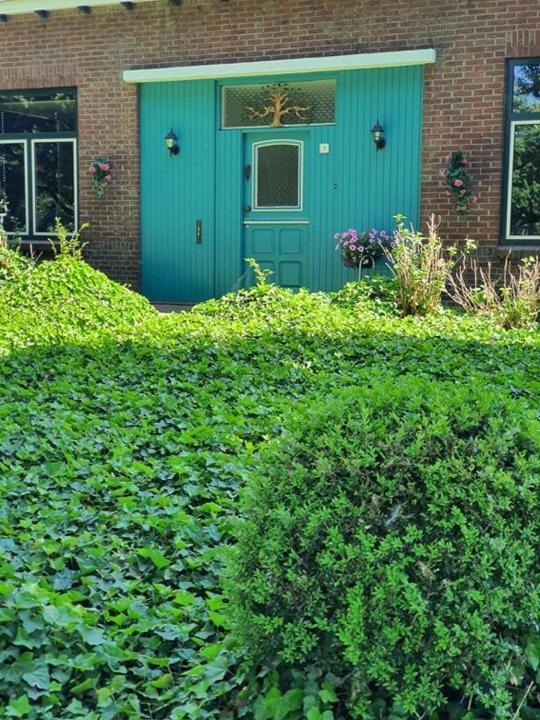 De Vliegende Vlinder Bed & Breakfast Nederweert Exterior photo