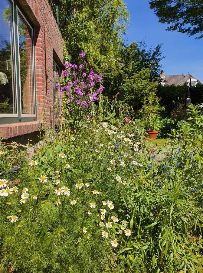 De Vliegende Vlinder Bed & Breakfast Nederweert Exterior photo